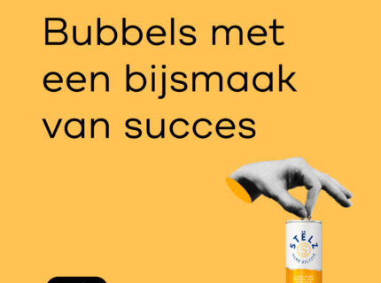 Voorblad Stelz